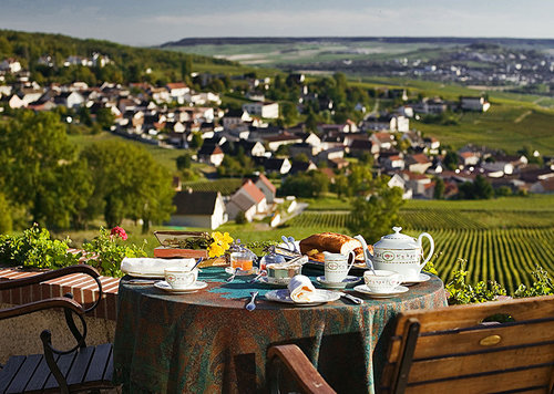 Champagne vineyards with sparkling wine