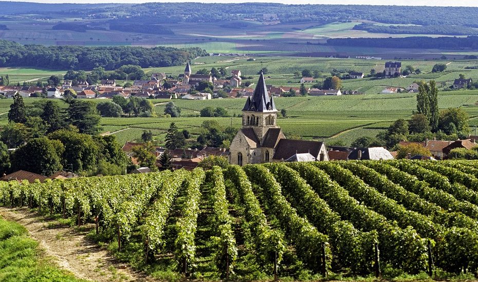 Champagne vineyards with sparkling wine